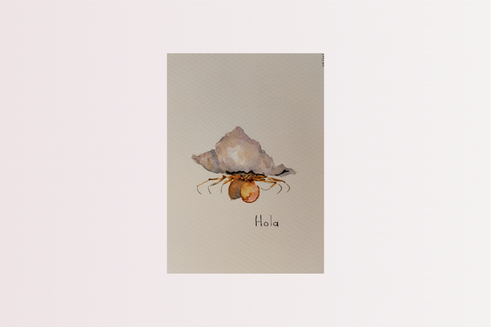 Postales animales cangrejo ermitaño